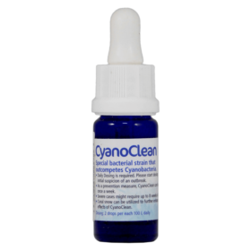 Korallen Zucht CyanoClean 10ml