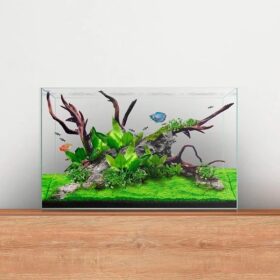 Waterbox Aquariums Clear Mini 20 Black