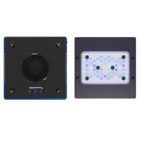 Radion XR15 G5 blue