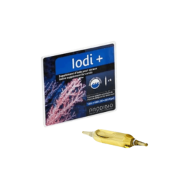 Prodibio Iodi Single Amp