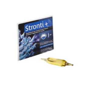 Prodibio Stronti Single Amp