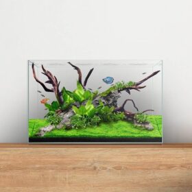 Waterbox Aquariums Clear Mini 16