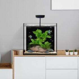Waterbox Aquariums Cube 10 No Cabinet