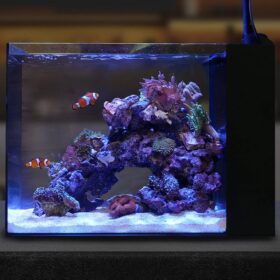 Waterbox Aquariums Peninsula Mini 25