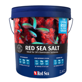 Red Sea Salt 22kg