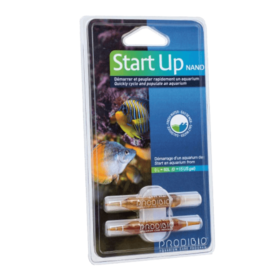 Start Up Nano 2 Amps