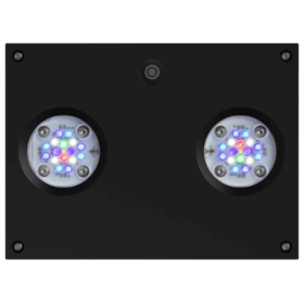 Hydra 32HD Black