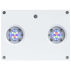 Hydra 32HD White