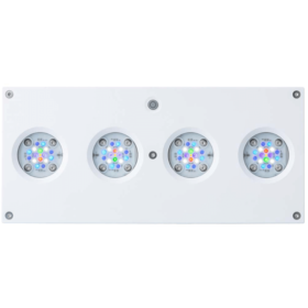 Hydra 64HD White