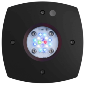 Prime 16HD Reef Black