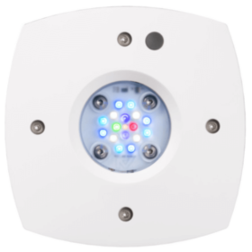 Prime 16HD Reef White