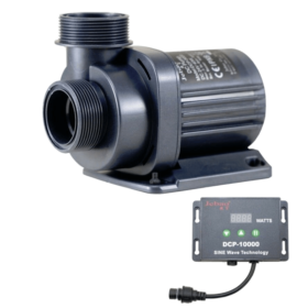 DCP 10000