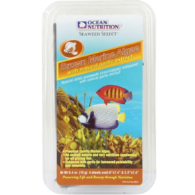 Brown Marine Algae 12g