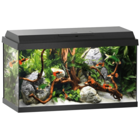 JUWEL Primo 60 LED Black