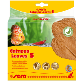 Sera Catappa Leaves S 10pcs