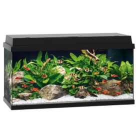 JUWEL Primo 110 LED Black