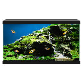 CIANO 60 Black aberaquatic