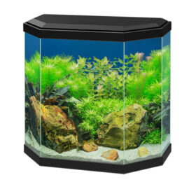 CIANO Aqua 30 Black aquarium aberaquatic