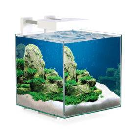 CIANO Nexus Pure 15 White aquarium