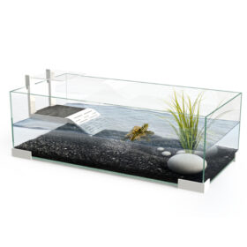 CIANO Tartarium 60 Χελωνιέρα