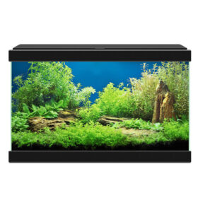 Ciano 20 black aquarium Aberaquatic