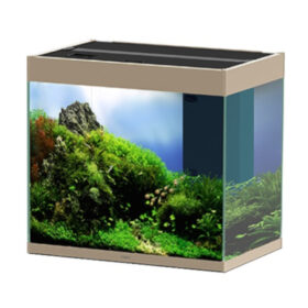 Ciano Emotions 60 Pro Mystic