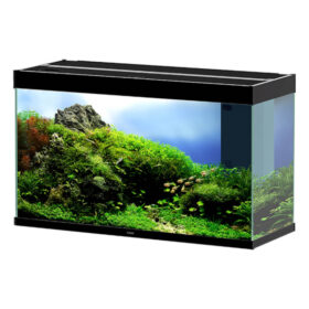 Ciano Emotions Pro 100 BLACK