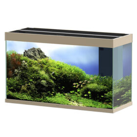 Ciano Emotions Pro 100 MYSTIC