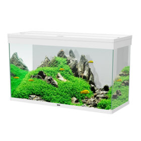 Ciano Emotions Pro 100 White