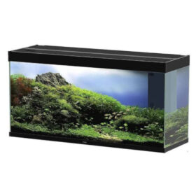 Ciano Emotions Pro 120 Black