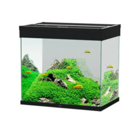 Ciano Emotions Pro 60 Black