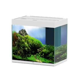Ciano Emotions Pro 60 White