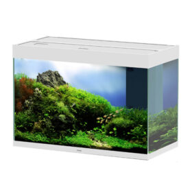 Ciano Emotions Pro 80 WHITE