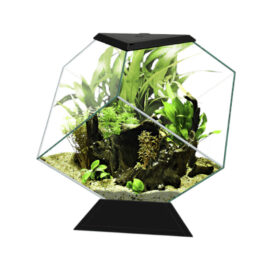 Ciano Nexus Prime 14C White Aberaquatic