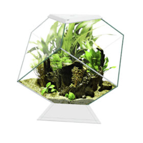 Ciano Nexus Prime 14c Whitee Aberaquatic