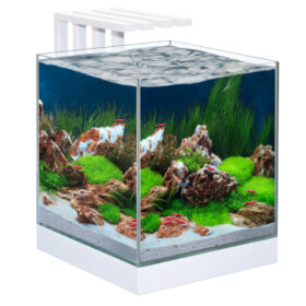 Ciano Nexus Pure 25 White Aberaquatic