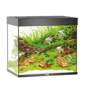 Juwel Lido 120 LED Black Aberaquatic