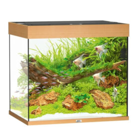 Juwel Lido 200 LED Light Wood Aberaquatic