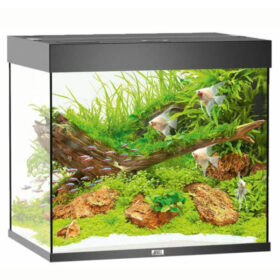 Juwel Lido 200 LED black aberaquatic