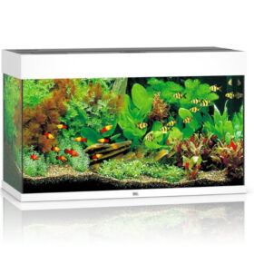 Juwel Rio 125 White Aberaquatic