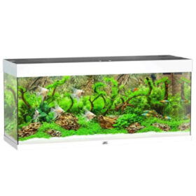 Juwel Rio 240 LED white aquarium