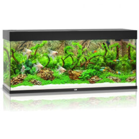 Juwel Rio 240 lt Black aberaquatic