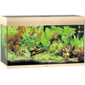 Juwel Rio 240 lt Light Wood aquarium