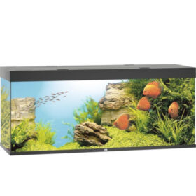 Juwel Rio 450 LED aquarium