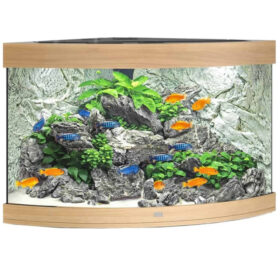 Juwel Trigon 190 LED Light Wood aquarium
