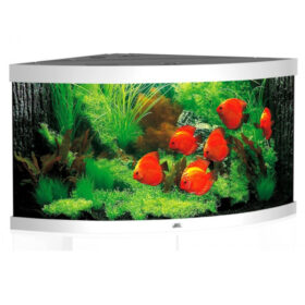 Juwel Trigon 350 LED Aquarium White Aber