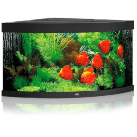 Juwel Trigon 350 LED Black aquarium