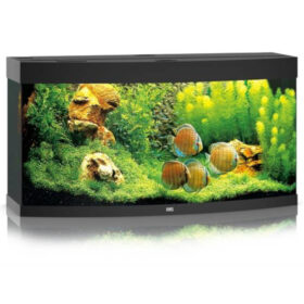 Juwel Vision 260 LED Black Aberaquatic