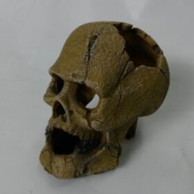 kw skull kranio diakosmitiko