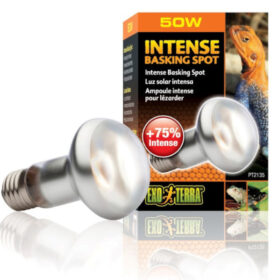 Exo Terra Intense Basking Spot 50w